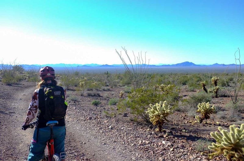 Taking a break on the doubletrack and enjoying the expansive vista.