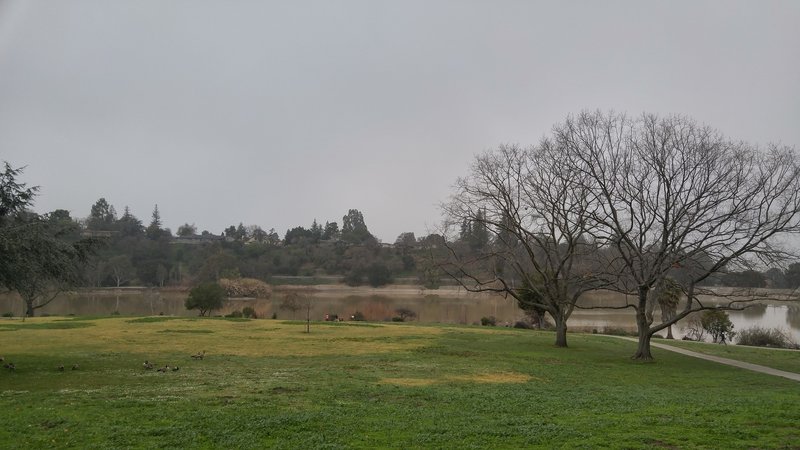 The Los Gatos Creek Trail offers a pleasant view of Vasona Lake.