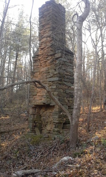 An old homestead fireplace makes for a fun detour along the Woolwine East Loop.