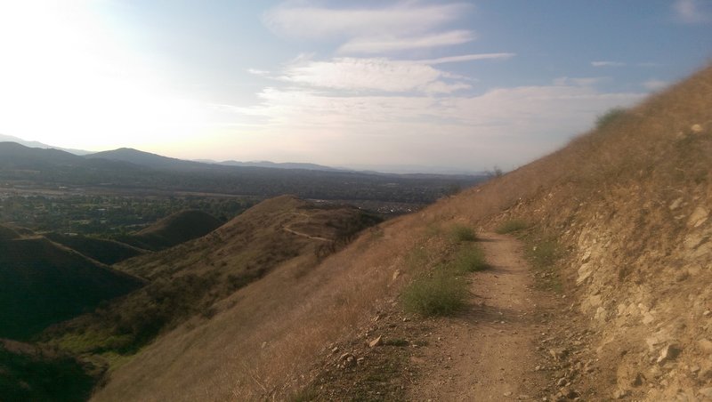 Descend the Regional Park Trail.  The trail is a steeper grade than the road and it is singletrack.