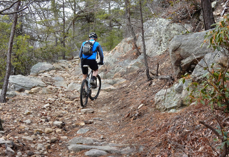 Veach Gap Trail (near the top) is littered with techy rock moves.