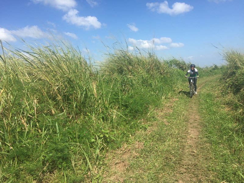 The Talahiban Trail is a smooth doubletrack through grassy fields.