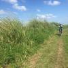 The Talahiban Trail is a smooth doubletrack through grassy fields.