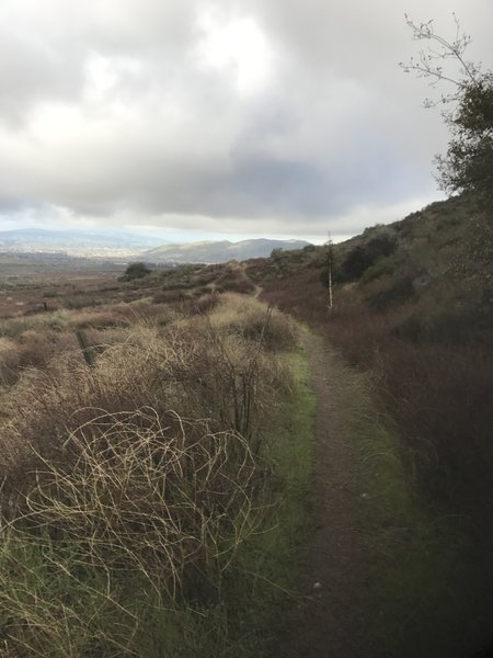 This is the view from the singletrack on the northern edge of El Dorado Ranch Park. Looking to the west, Crafton Hills can be seen in the distance with Yucaipa to their left.
