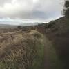 This is the view from the singletrack on the northern edge of El Dorado Ranch Park. Looking to the west, Crafton Hills can be seen in the distance with Yucaipa to their left.