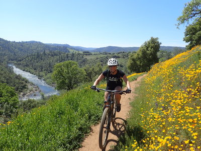 Springtime poppies blanket the side of the trail.