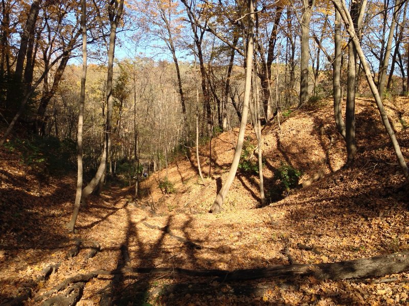 This is an evening shot of the trail entrance at Everett Dirksen Park.