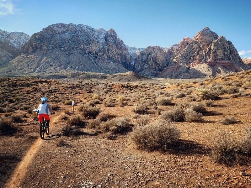 I can't take my eyes off Red Rock Canyon when it's covered with snow!