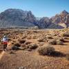 I can't take my eyes off Red Rock Canyon when it's covered with snow!