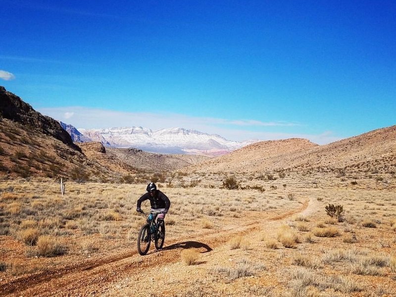 Golden grass, blue skies, sunshine, snow-covered mountains, and tacky trails equal a very happy rider!!