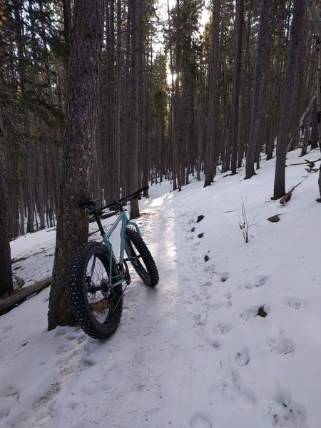 Moderate grades and packed snow can make Sunny Aspen a great fat bike option during the winter.