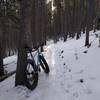 Moderate grades and packed snow can make Sunny Aspen a great fat bike option during the winter.