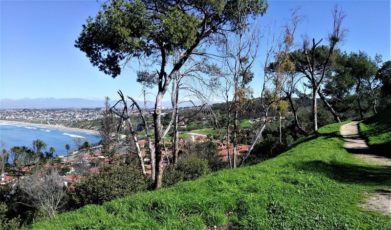 Enjoy this nice view of South Bay from the top of Upper La Costa Fire Station Trail.