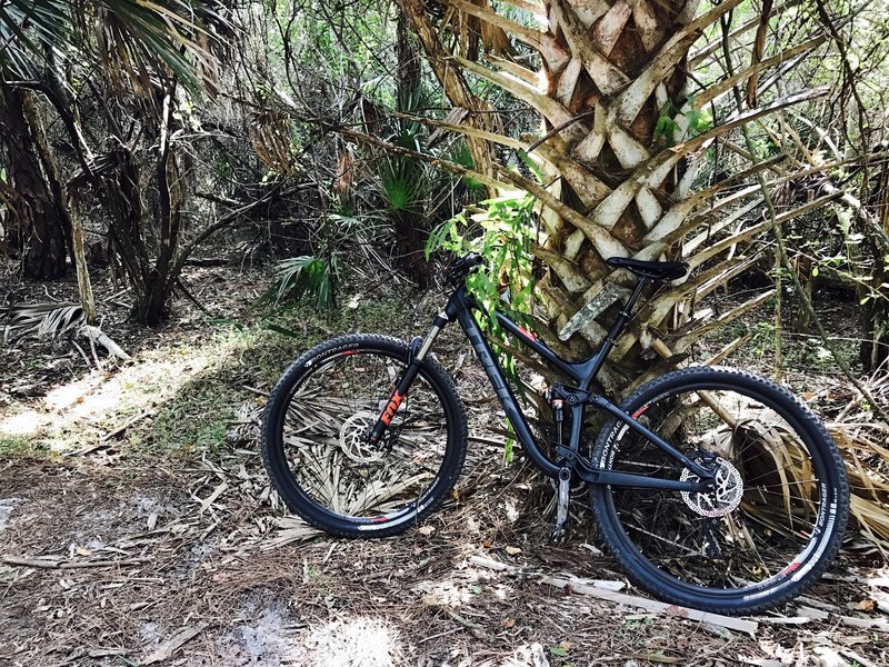 Look for this trail entrance to access the Pinehurst MTB Trail.