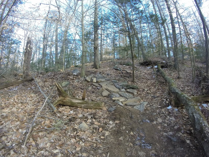 There's a small rock garden in the last turn along the Green Trail.