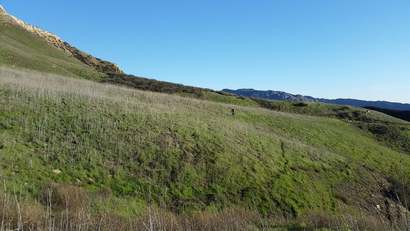 Before the final fork, enjoy this amazing, easy-flowing singletrack.