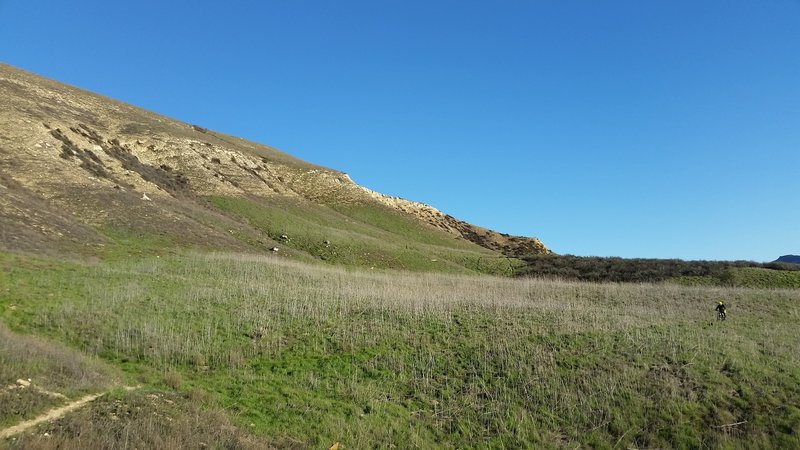 Green open vistas (sometimes filled with deer) make for a nice ride along the New Millennium Trail.