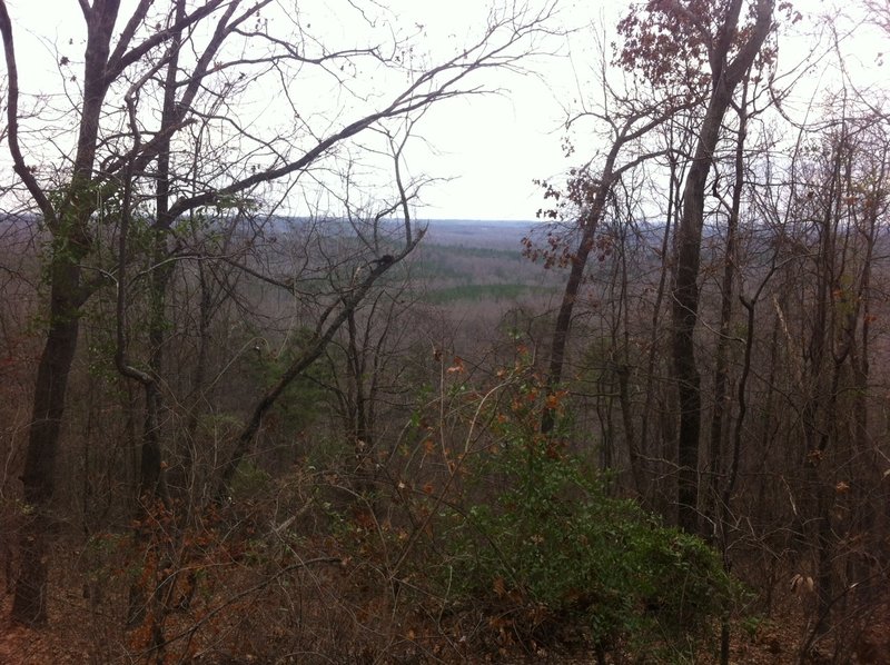 Enjoy this pleasant view from the Leatherwood Creek Trail.