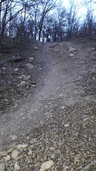 Give this unnamed trail feature a try on Loop 1 heading west.