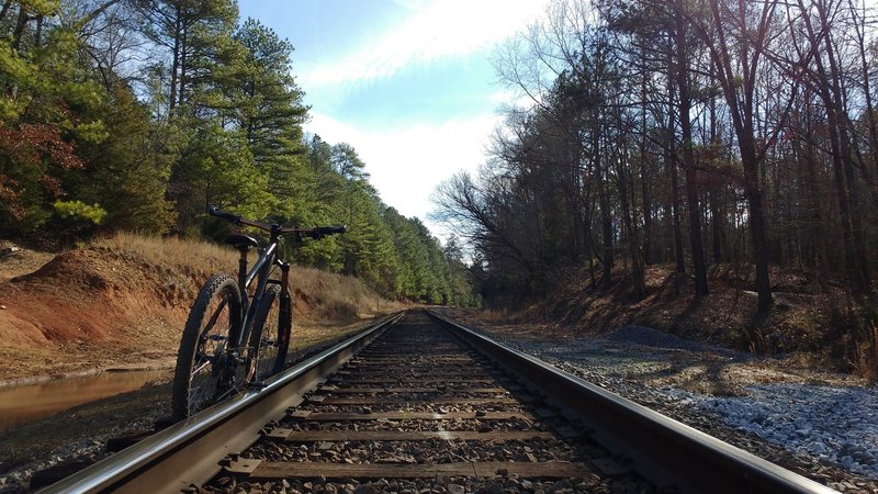 This is one of two railroad crossings on the Long Cane Horse Trail.