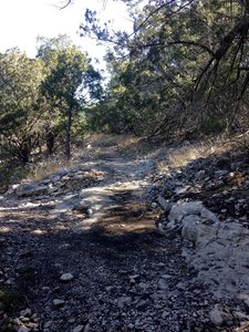 The junction of The A.T. with the Zip Trail is easy to navigate.