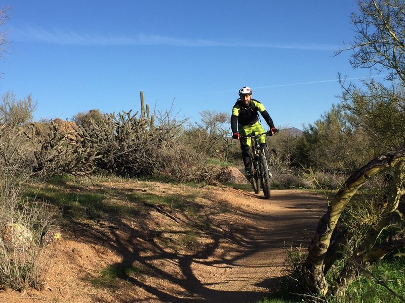 Cruise the buff singletrack along the perimeter of Brown's Ranch for a great time!