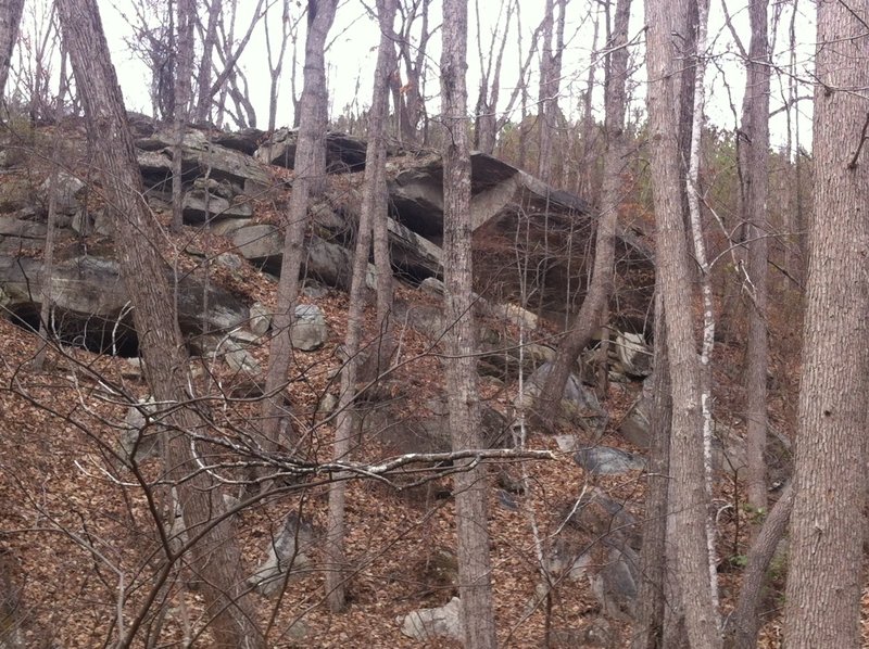 Enjoy this nice rock outcropping on the Frady Branch Loop Trail.