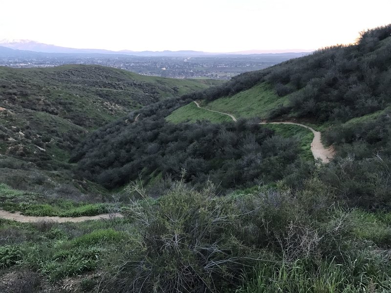 The Thunderbird Trail twists and turns its way up Crafton Ridge.