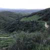 The Thunderbird Trail twists and turns its way up Crafton Ridge.