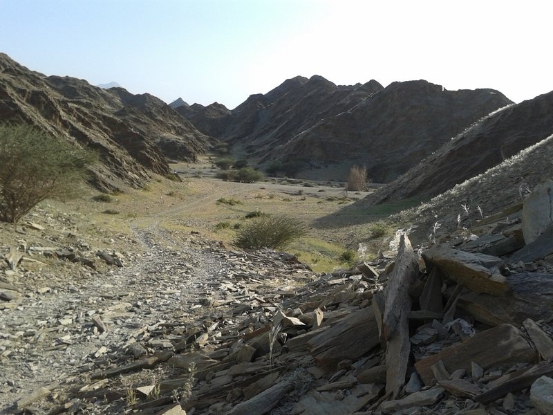 Winter time means greenery in Oman. While there is grass for only 1 month a year, it is beautiful while it lasts!