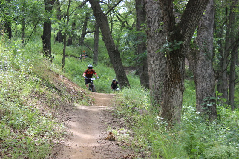 A racer powers up a sizeable hill on the Long Creek Trail at the Liberty Bell Cup 2016.