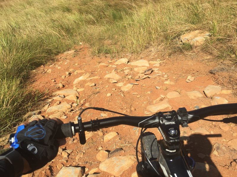 Navigate this steep descent through a rock garden along the Mt. Williams Trail.