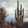 I couldn't resist stopping to take a photo beside the big saguaro.