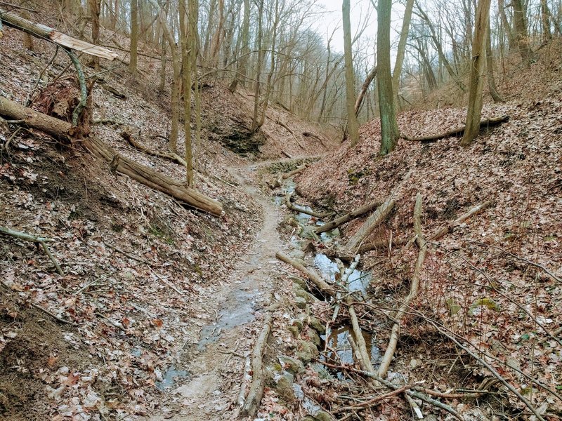 The singletrack is narrow by the stream.