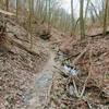 The singletrack is narrow by the stream.