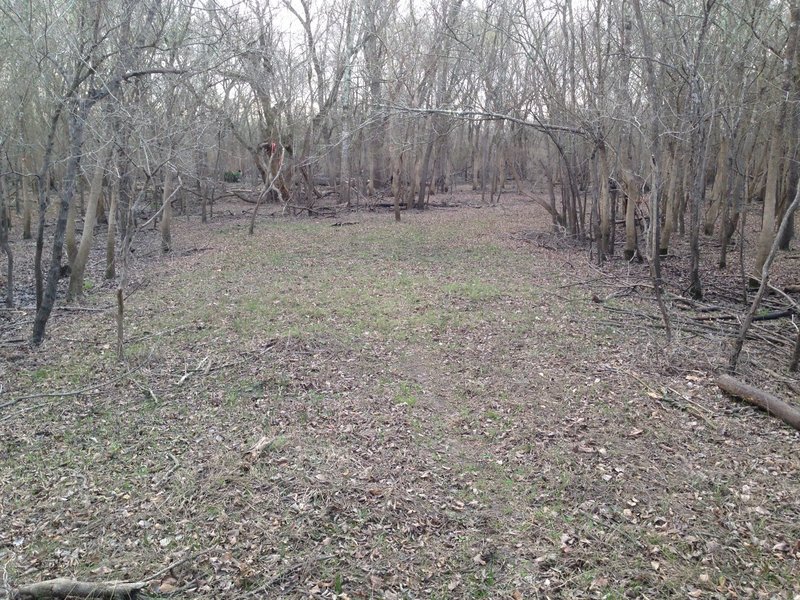 B Trail turns south near Turkey Creek.