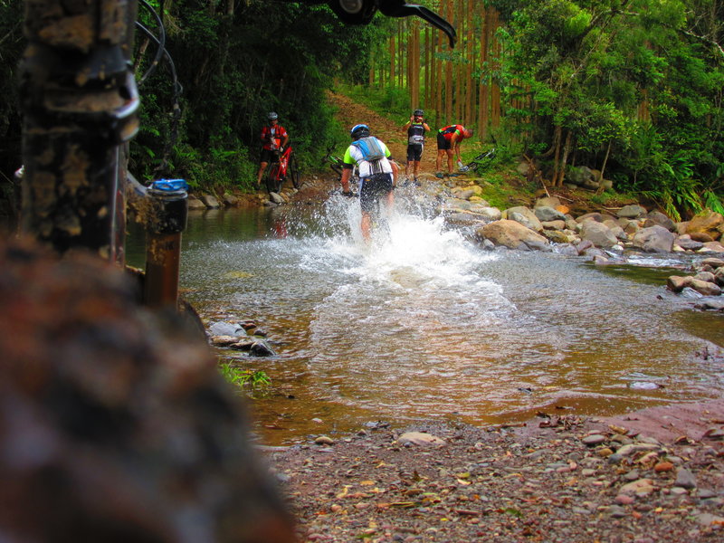 Our group crosses the river in the Valley of the Holy Angels (km 20).