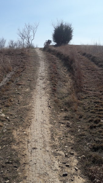 It's a rather steep final climb to Inspiration Point.