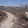 The Denton Creek shore gets pretty brown during the winter.