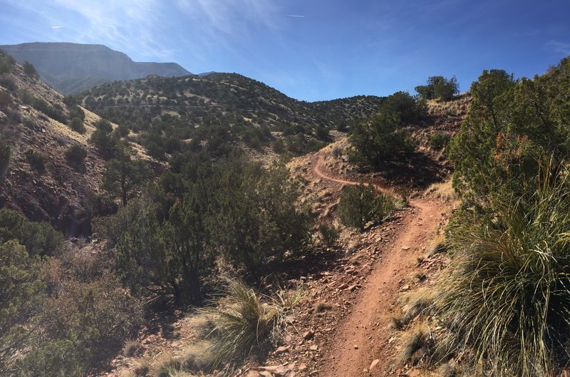 Enjoy nice views during this narrow singletrack climb.