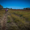 We found some singletrack!