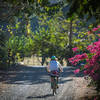 Colors, colors, colors are all over in Costa Rica.