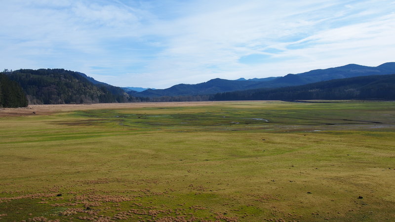 The land turned lake turned land again; drying up Dorena Lake is turning into green, soggy pasture.