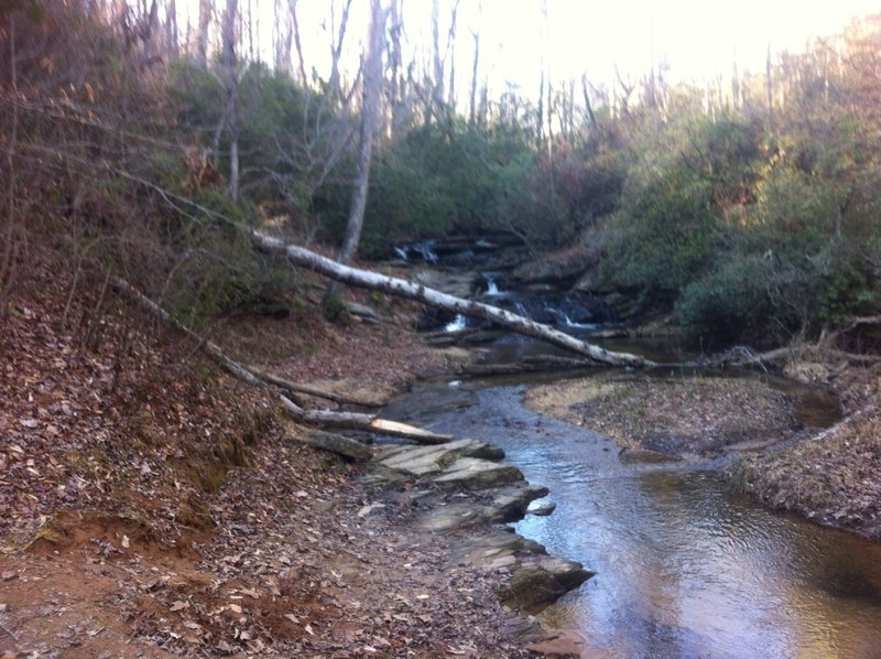 Stop and enjoy the view of Nancytown Creek, which parallels a portion of the Sourwood Trail.