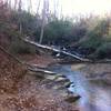 Stop and enjoy the view of Nancytown Creek, which parallels a portion of the Sourwood Trail.