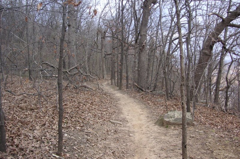 Enjoy flowy trails for miles in Turkey Mountain Park.