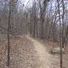 Enjoy flowy trails for miles in Turkey Mountain Park.