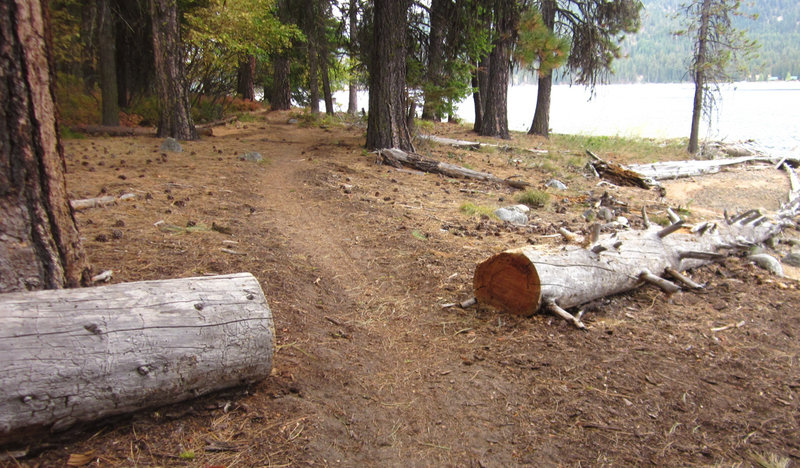 The trail is pretty well buffed out through this section.