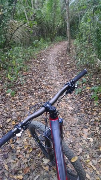 Enjoy sweet Sayulita jungle singletrack along the Jungle Bat Trail.