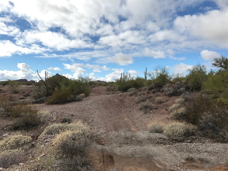 Pump these fast hills along Roller Coaster!